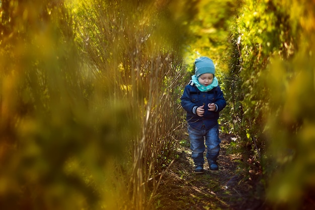Chłopiec idzie między zielone krzaki