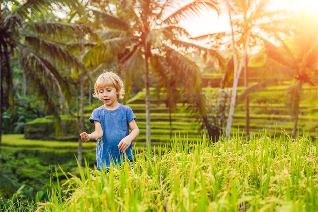 Chłopiec na zielonej plantacji pola ryżowego kaskadowego na tarasie Tegalalang. Bali, Indonezja Podróżowanie z pojęciem dzieci. Nauczanie dzieci w praktyce. ze światłem słonecznym
