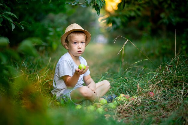 chłopiec siedzi na trawie z jabłkami w ogrodzie z jabłoniami