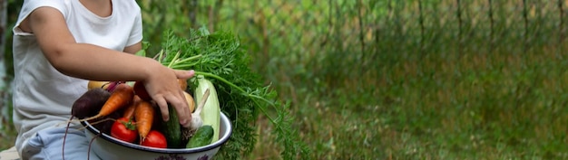 Chłopiec trzyma miskę świeżo zebranych warzyw z gospodarstwa Produkty ekologiczne