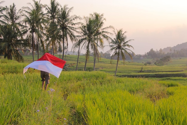 chłopiec z azjatyckiej wioski trzymający indonezyjską flagę na polu ryżowym podczas biegu