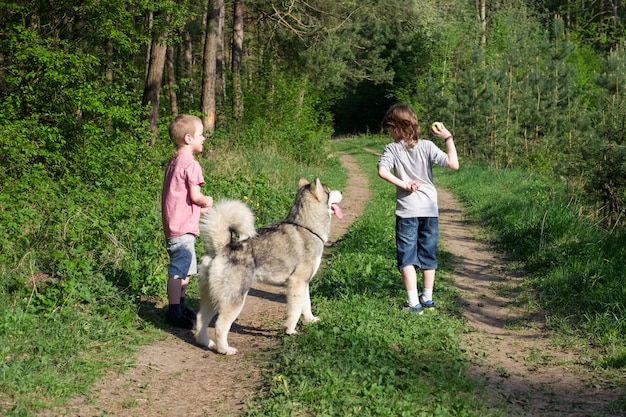 Chłopiec z jego psim malamute na spacerze w lesie