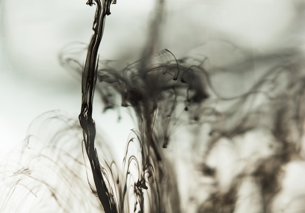Chmura atramentu w przezroczystym szklanym kubku z czystą wodą pośród promieni światła Szablon układu tła tekstura makro dyfuzja czarno-biała abstrakcja