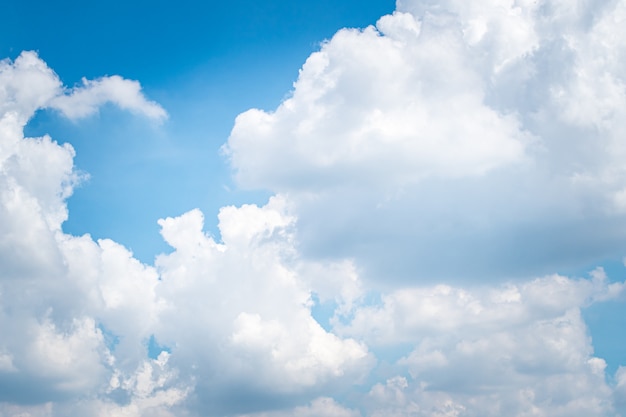 Chmury Cumulonimbus. chmura cumulusowa. Puszyste lub bawełniane lub puszyste chmury błękitne niebo białe puszyste chmury nad krajobrazem błękitnego nieba.