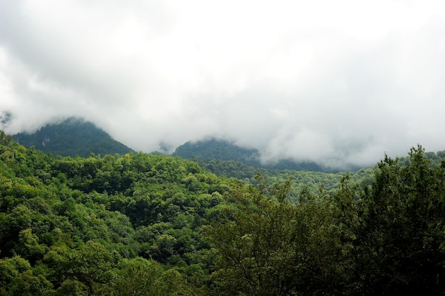 Chmury na zielonych szczytach gór Abchazja kraj duszy
