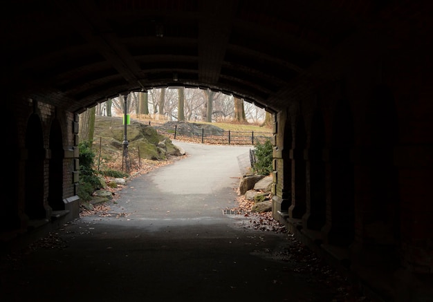 Chodnik pod mostem i widok na Central Park