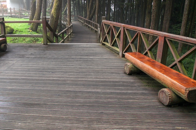 Chodnik Z Drewna W Parku Narodowym Alishan Na Tajwanie