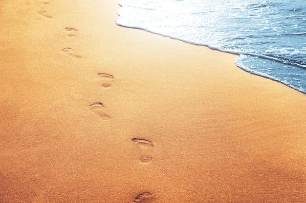 Zdjęcie chodzenie po plaży pozostawiając ślady na piasku