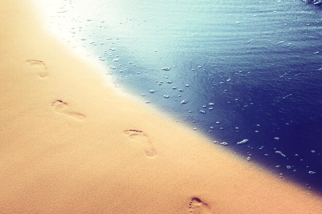 Zdjęcie chodzenie po plaży pozostawiając ślady na piasku