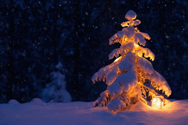 Choinka z latarnią na śniegu w lesie. Nowy rok w lesie