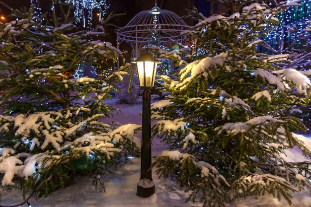Choinki pokryte śniegiem. Dwie naturalne choinki pokryte śniegiem z latarnią pośrodku, na tle altany w ogrodzie.