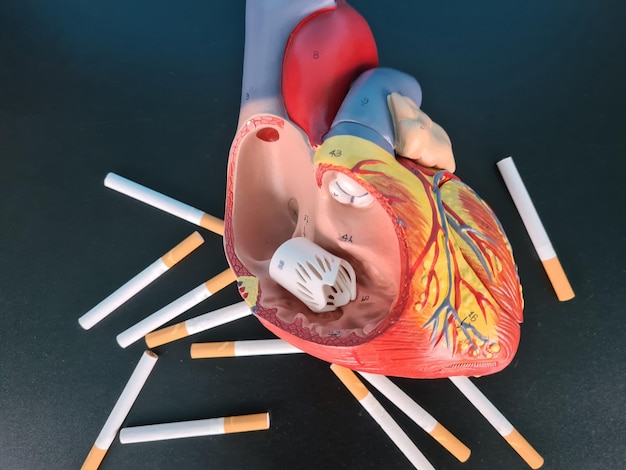 Choroby serca są spowodowane paleniem i niewydolnością serca