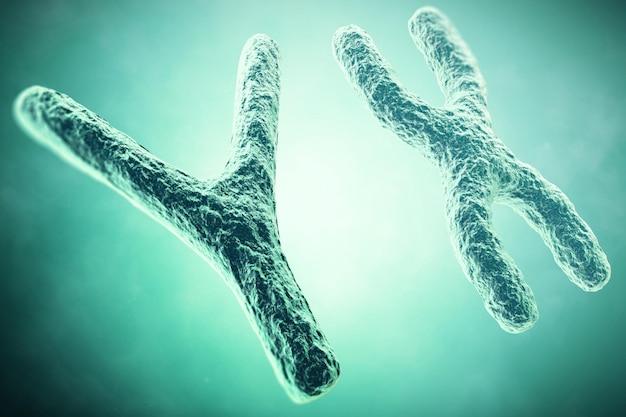 Zdjęcie chromosom yx na pierwszym planie naukowa koncepcja 3d ilustracja