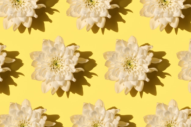 Chryzantema Kwiat Z Cienia Wzorem Na żółtym Tle