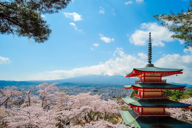 Chureito czerwona Pagoda z Cherry Blossom i Mount Fuji. Sezon wiosenny w Japonii