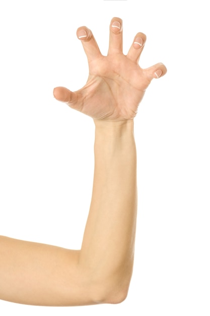 Ciągnięcie, Chwytanie, Sięganie Lub Drapanie. Kobieta Ręka Z Francuskim Manicure Gestykuluje Na Białym Tle Na Białym Tle. Część Serii