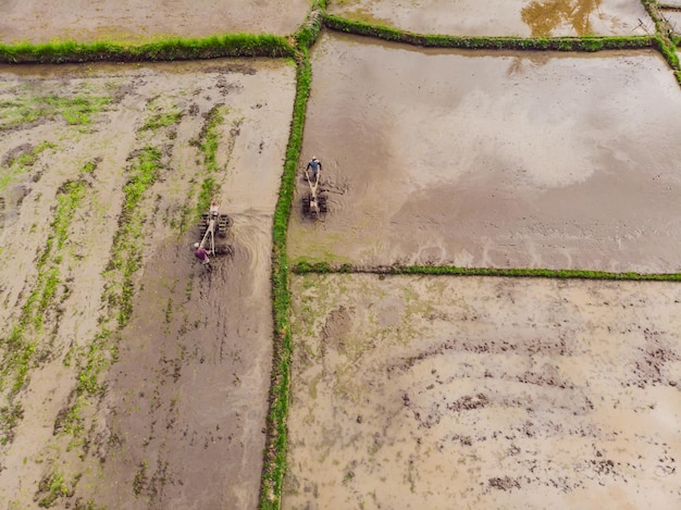 Ciągnik na polu ryżowym widok z drona