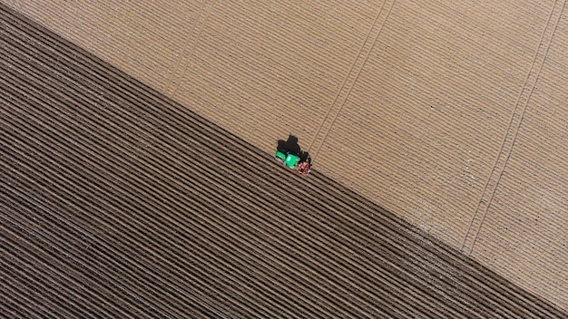 Zdjęcie ciągnik na polu z góry, sadzenie ziemniaków, widok z lotu ptaka.