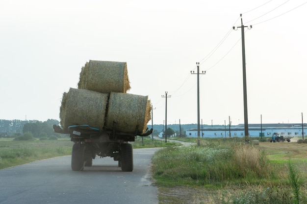 Ciągnik na przyczepie transportuje duże okrągłe bele siana Transport siana na miejsca składowania i suszenia kiszonki Zbiór siana na paszę dla zwierząt