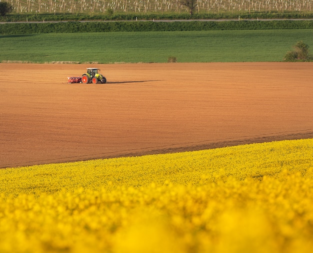 Ciągnik orze pole w Południowych Moravia przy zmierzchem