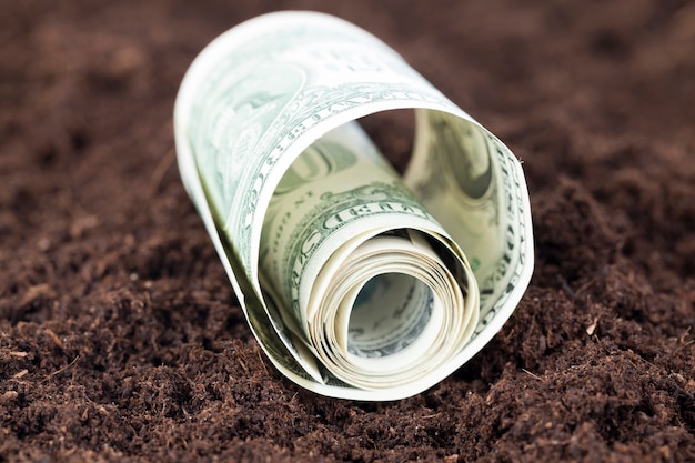 Ciasno skręcone dolary amerykańskie, leżące na ciemnej żyznej glebie, zbliżenie na pole