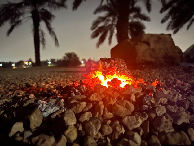 Zdjęcie cicha noc z sceną ognia na pustyni.