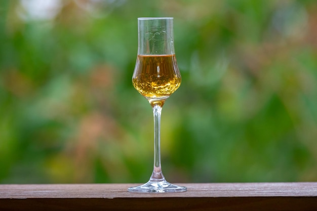 Ciekawa szkocka whisky single malt w szkle degustacyjnym z wyrazistym i nietypowym tłem