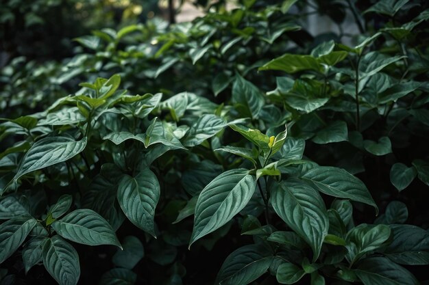 Ciemnozielone liście w ogrodzie reprezentują środowisko naturalne