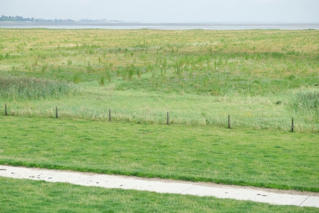 Zdjęcie ciemnozielone słone łąki na światowym dziedzictwie naturalnym morze wattowe ważne miejsca lęgowe ptaków