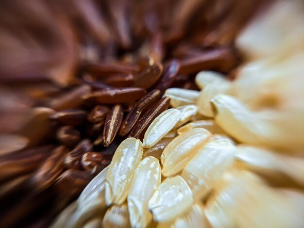 Zdjęcie ciemny i jasny długi ryż basmati z bliska makro zdjęcie brązowego i mlecznego długiego ryżu