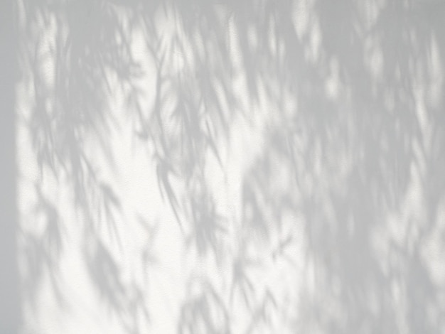 Cień liści bambusa na tle białej ściany betonowej