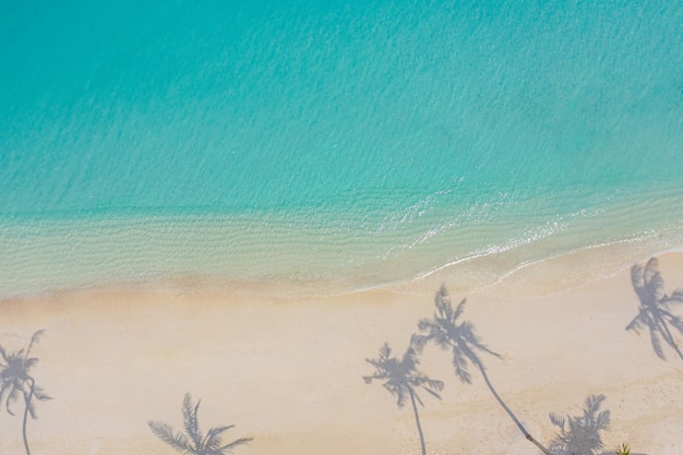 Cień palm na piaszczystej plaży i turkusowy ocean z góry Niesamowity letni krajobraz przyrody