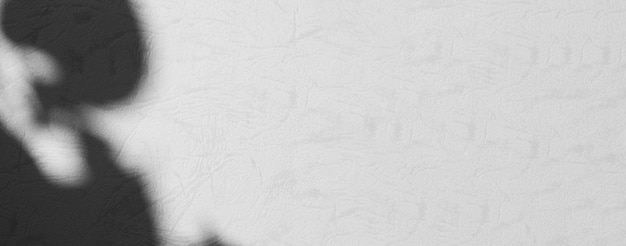 Cień Wiosna na Tle ŚcianyAbstrakcyjne Nałożenie Zacienione Miękkie Zewnętrzne Liście DrzewoNatura Nakładka z Okna BudynekTekstura vintage Słońce Światło Roślin Liść Lato na Podłodze Szara Farba Pokój Cement