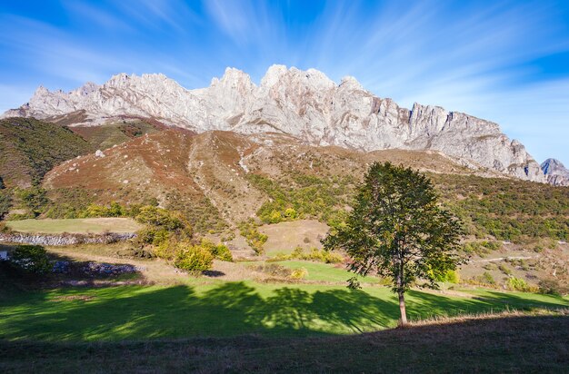 Cienie Drzew I Gór. Picos De Europa. Hiszpania