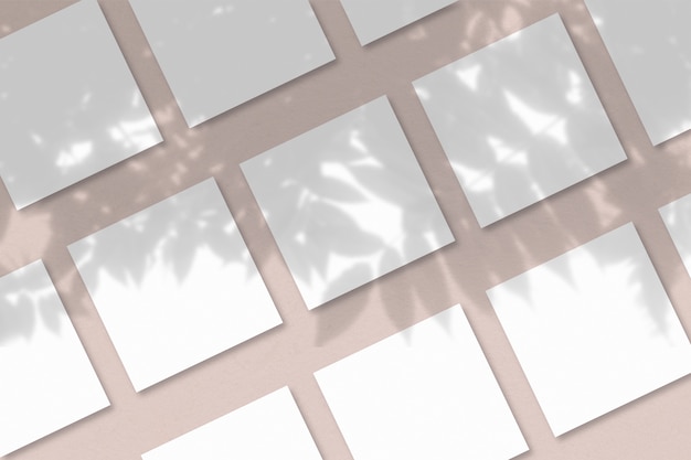 Zdjęcie cienie egzotycznej rośliny na kilku poziomych i pionowych arkuszach białego papieru teksturowanego