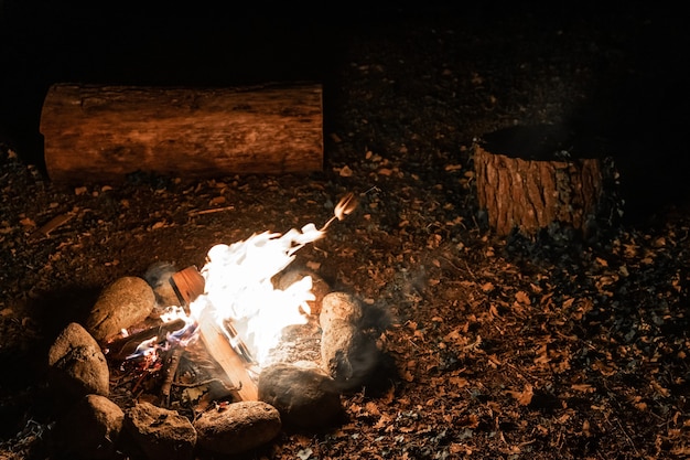 Ciepłe i przytulne ognisko w lesie Ognisko stawu na wakacjach podczas biwakowania