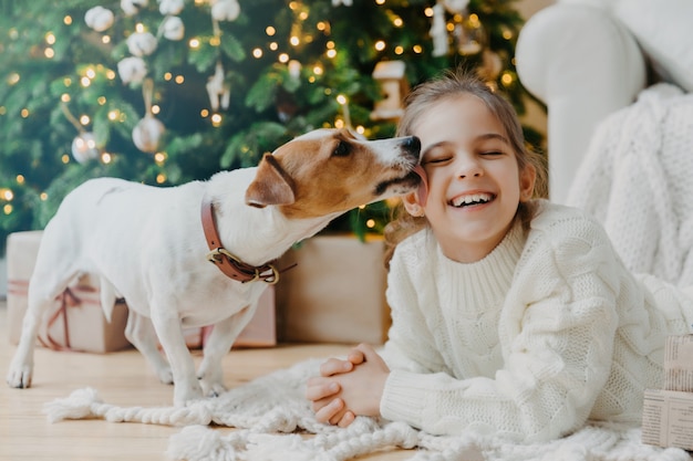 Cieszę Się, że Zabawna Dziewczyna Otrzymuje Buziaka Od Psa Jack Russell Terrier Ubrany W Zimowy Sweter Z Dzianiny