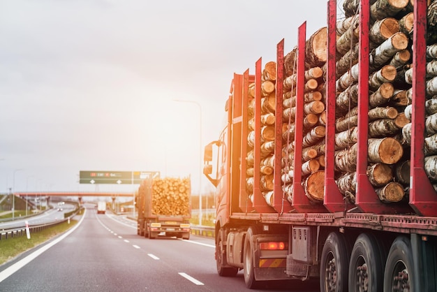 Ciężarówka przewozi drewno na naczepie na podmiejskiej asfaltowej autostradzie w letni dzień Koncepcja komercyjnego importu drewna w Europie