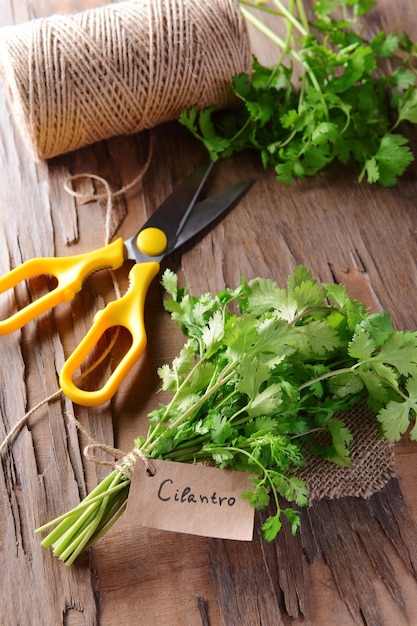 Cilantro Na Stołowym Zbliżeniu