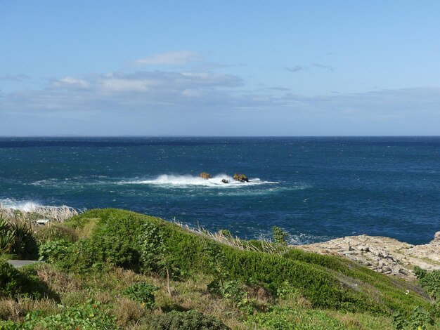 Zdjęcie cliff path hermanus południowa afryka