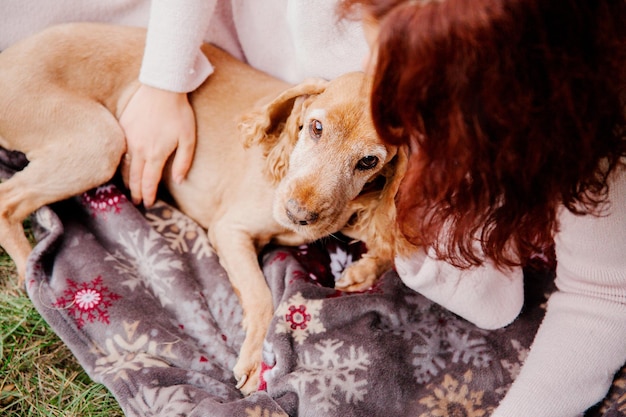 Cocker spaniel angielski pies z właścicielem na zewnątrz