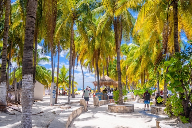 Cocos Beach Bar na plaży z białym piaskiem i palmami w słoneczny dzień Wyspa Isla Mujeres Morze Karaibskie Cancun Jukatan Meksyk