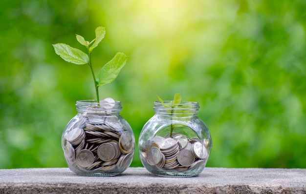 Coin tree Glass Jar Roślina rośnie od monet poza szklanym słoju na niewyraźne zielony natura