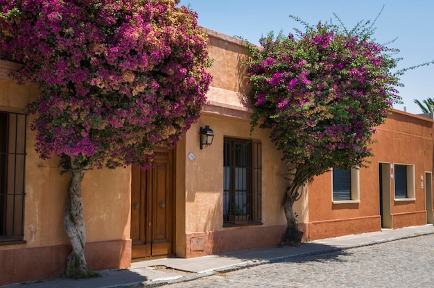 Colonia del Sacramento w Urugwaju ważnym miejscem turystycznym