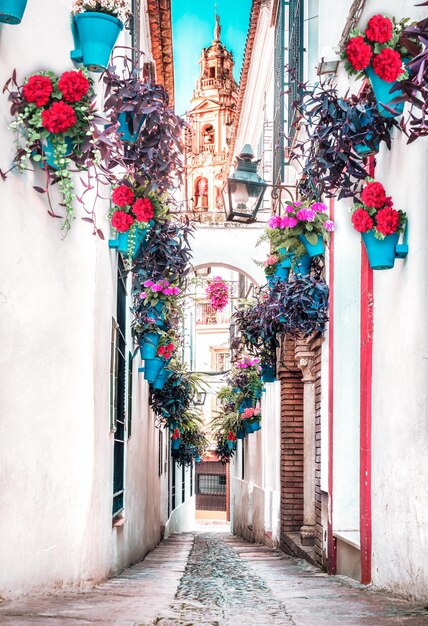 Zdjęcie cordoba hiszpania ulica kwiatów calle de las flores w języku hiszpańskim i meczet cordova średniowieczne miasto w europie