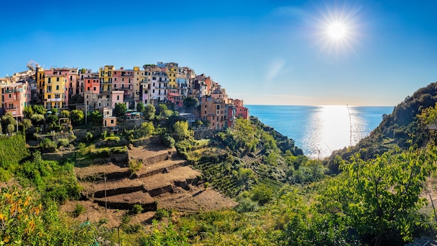 Corniglia w Cinque Terre Włochy z winnicami i tarasami latem Popularna miejscowość turystyczna na wybrzeżu Ligurii