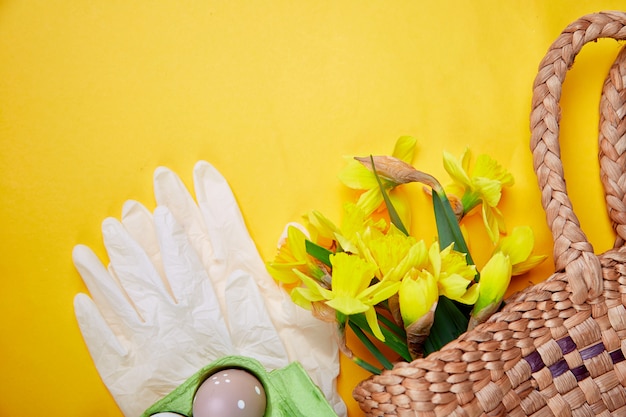 Coronavirus Wielkanocne jaja i kwiaty narcyzów w koszyku w pobliżu ochronnych rękawic medycznych