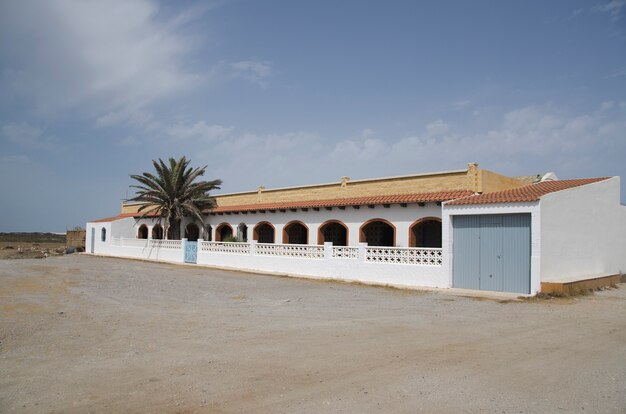 Cortijo en Andalusia Almeria duży biały dom z palmą w środku