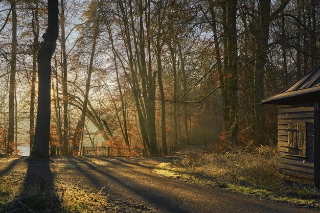 Country Road jesienią