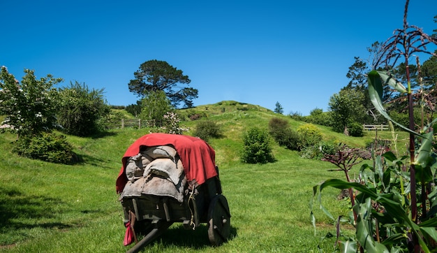 Countryside Garden Landscape And Farm